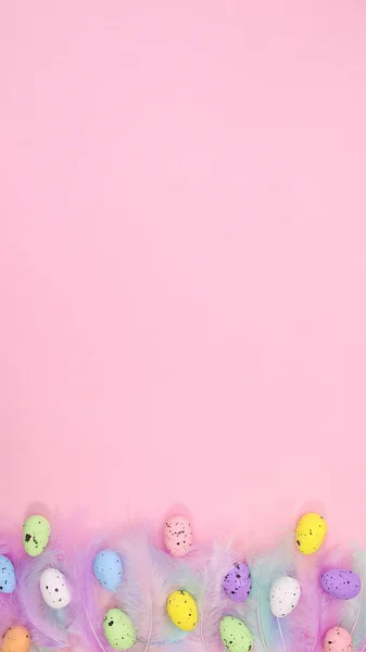 Pastell Elegans Fjädrar Ljus Rosa Bakgrund Med Färgglada Ägg Vårkoncept — Stockfoto