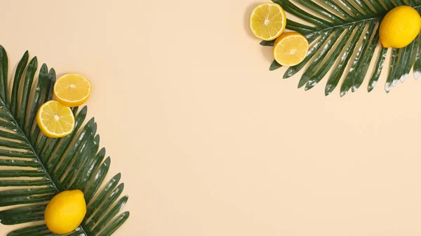 Doğal palmiye yaprakları ve turunçgil limonlarından oluşan tropik bir düzenleme. Düz metin kopyalama alanı