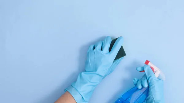 Mavi rbber eldivenli eller pastel mavi arka planda temizlik süngeri ve temizleyici tutuyor. Düz yatıyordu