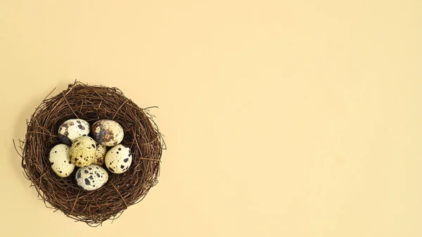 Ptačí Hnízdo Křepelčími Vejci Pastelově Béžovém Pozadí Velikonoční Přírodní Plochý — Stock fotografie