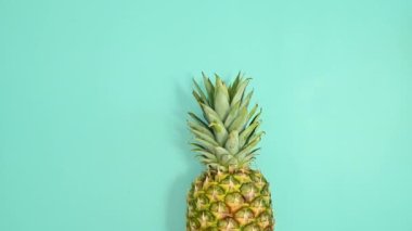 Cyan tropikal arka planından geçen olgun taze ananas. Düz konum stop hareketi 