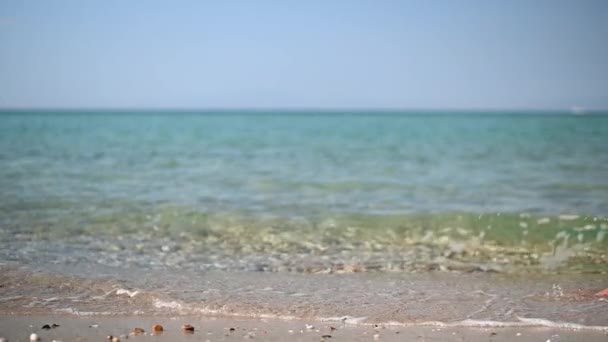 Natural Young Woman Black Bikini Bottoms Walking Beach Sunny Day — Vídeo de stock