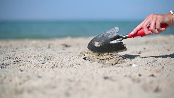 Woman Hand Digs Hole Metal Spade Put Sun Umbrella Sandy — стоковое видео