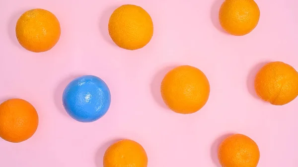 Oranges pattern with one blue orange. Creative background. Flat lay