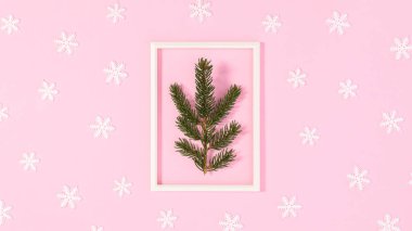 Beyaz çerçeveli Noel arkaplanı ve içinde pastel broş temalı köknar dalı. Düz yatıyordu