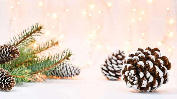 Noel arkaplanı köknar dalları ve beyaz temalı çam kozalakları. Kış tatili kavramı