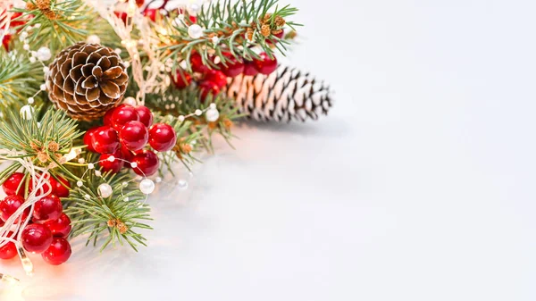 Beyaz fotokopi arka planında ışık, kozalak ve böğürtlen olan ana dal. Düz yatıyordu