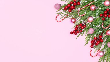 Fotokopi alanı ve kırmızı böğürtlen ve pembe süslemelerle süslenmiş çam dalları olan pastel pembe arkaplan. Düz yatıyordu