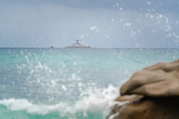 Skály Moři Osamělým Stromem Pozadí Stříkajících Vln — Stock fotografie