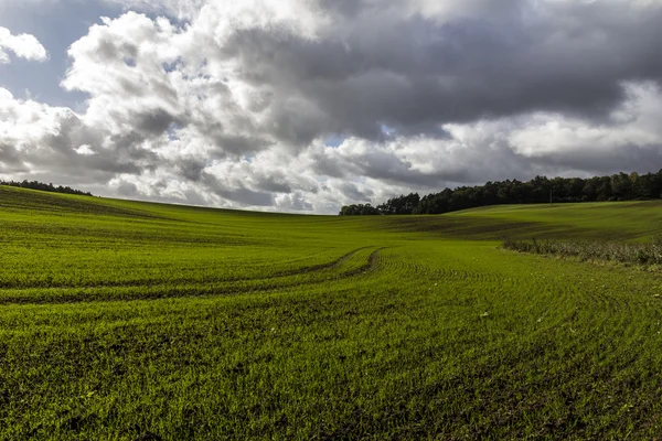 Zelené pole s pulzující linie dramatická obloha — Stock fotografie