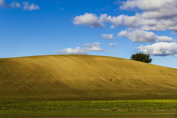 Plowed field on clear hills — Stock Photo, Image