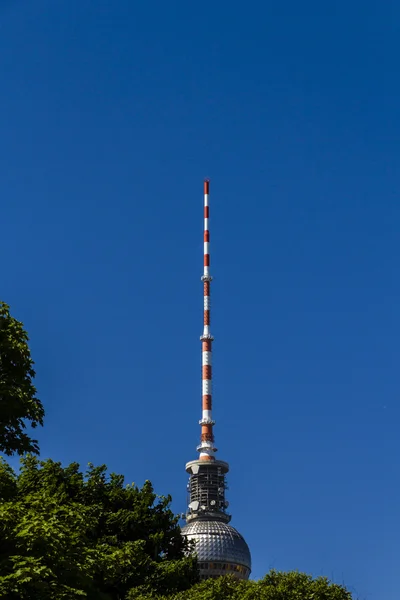 Top van de Berlijn-televisie toren verborgen behinde sommige boom kraai — Stockfoto