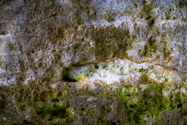 Natuurlijke steen achtergrond met mos — Stockfoto