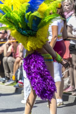 Karnaval kültürleri Berlin 2013
