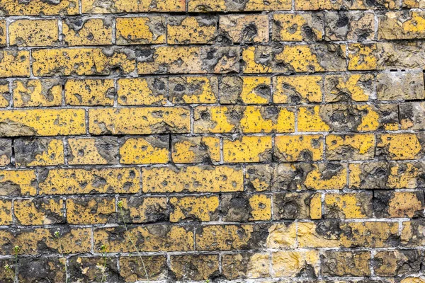 Velho padrão de parede de tijolo closeup com buracos de bala de WW2 — Fotografia de Stock