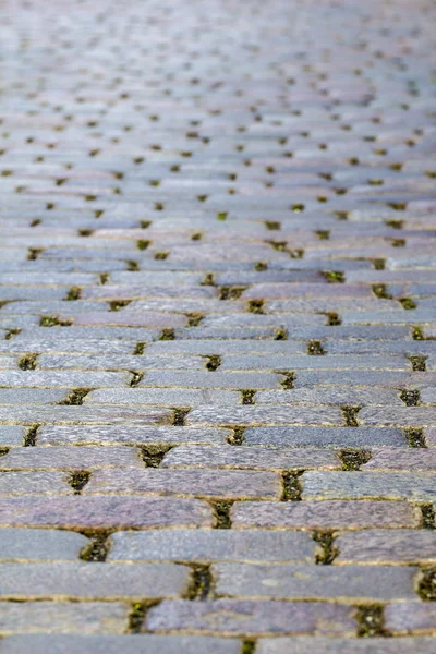 Cobble-stone pavement — Stock Photo, Image
