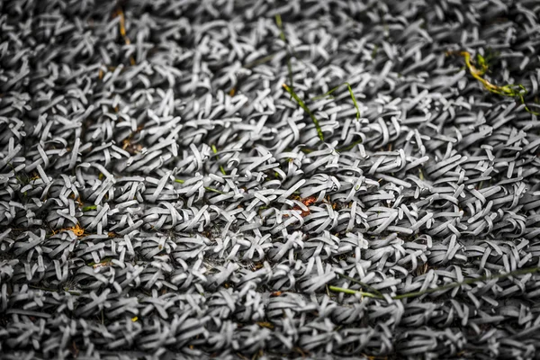 Closeup of a outdoor doormat texture — Stock Photo, Image