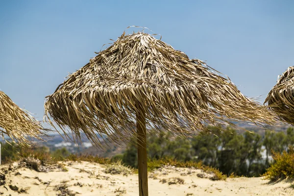 Parasol hecho de caña con hojas que soplan —  Fotos de Stock