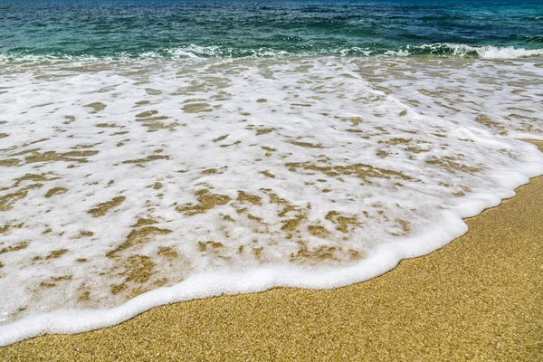 Detail der Küste im Sommer — Stockfoto