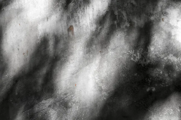 Тени на фоне старинной стенки паргета — стоковое фото