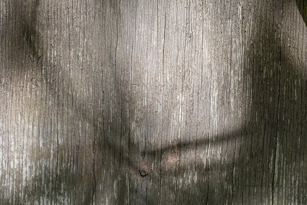 Noktalar ile arka duvar sıvası — Stok fotoğraf