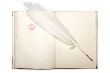 Japonya kağıt ruj öpücük ve tüy kalem isolat ile günlüğü aç