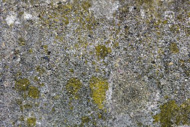 Sert Yapılı Doğal Taş Granit Duvar