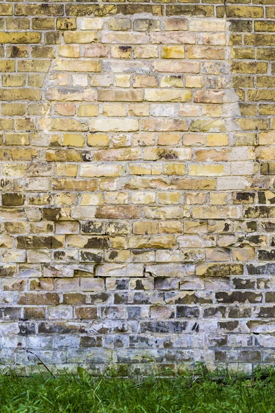 Old brick wall background with a piece of meadow — Stock Photo, Image