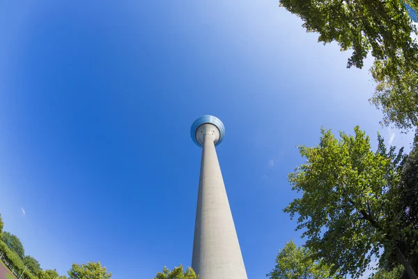 TV-toren met sommige bomen op de voorgrond geïsoleerd op blauwe hemel, duesseld — Stockfoto