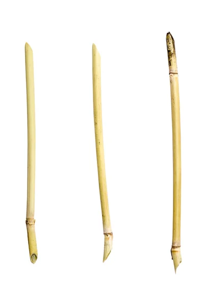 Τρεις ασιατικές φτιάξατε οι ίδιοι reed στυλό, απομονωμένα σε λευκό — Φωτογραφία Αρχείου