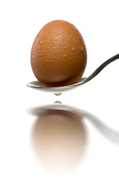 Reflected fresh brown egg with water drops on a spoon , isolate — Stock Photo, Image