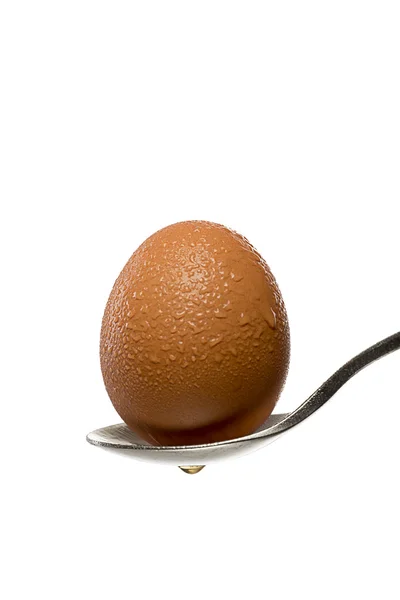 Uovo fresco marrone con gocce d'acqua su un cucchiaio, isolato su bianco — Foto Stock