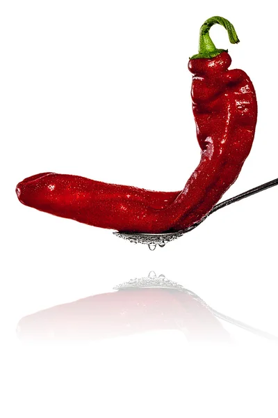 Merah basah Bell Pepper pada sendok dengan refleksi — Stok Foto