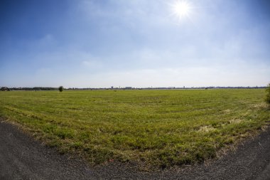 geniş çayır mavi gökyüzü ve güneş, berlin Almanya'da ateş