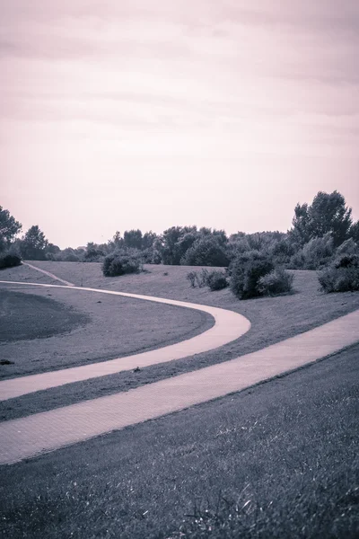 Vintage style landscape with curved way's — Stock Photo, Image