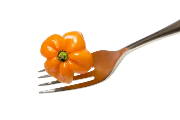 Cabai panas oranye pada garpu, terisolasi pada putih — Stok Foto