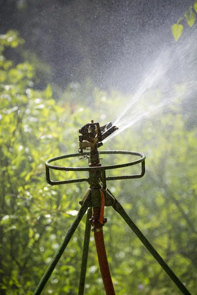 Close up of a big lawn sprinkler in action with a shower of drop — Stock Photo, Image