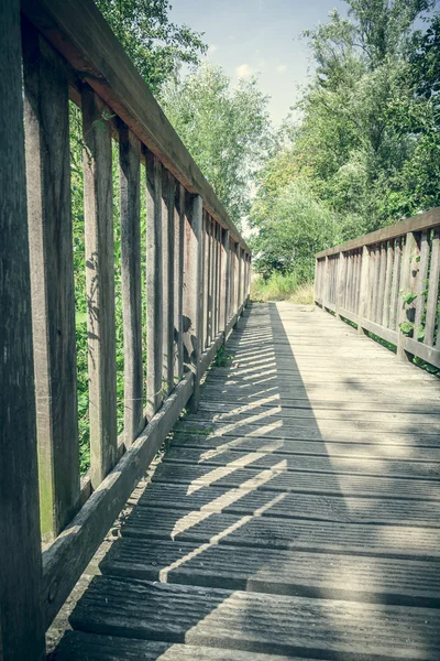 Simple wood bridge leading into a forest — Stock Photo, Image