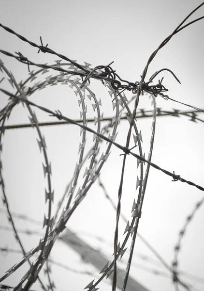 Barb wire schieten tegen een grijze triest hemel — Stockfoto