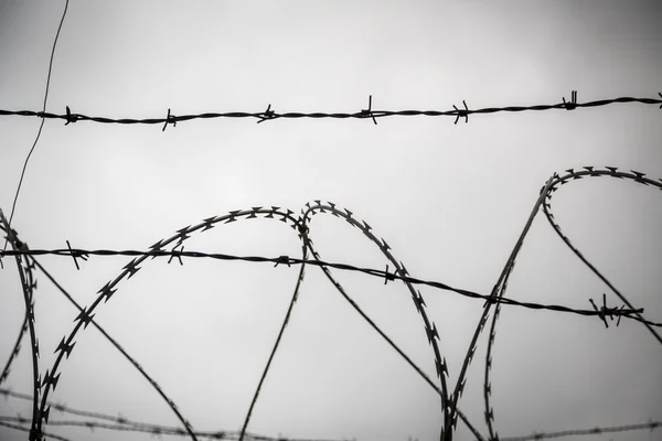 Barb wire schieten tegen een grijze triest hemel — Stockfoto