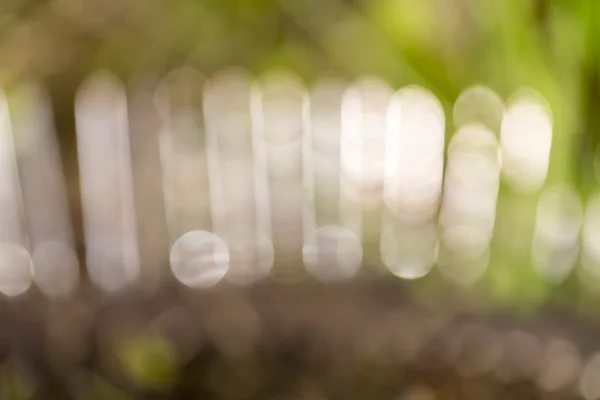 Blurred green and brown background with bokeh — Stock Photo, Image