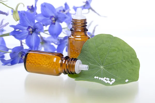 Dua botol dengan globula homeopati, daun hijau dan bunga — Stok Foto
