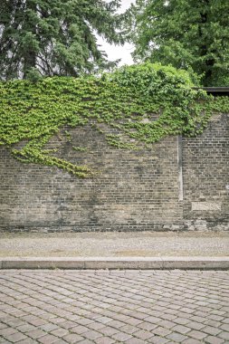 kaldırım ve parke taşı yol ile büyümüş Ivy tuğla duvar 