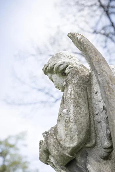 Detalj av en ängel-skulptur — Stockfoto