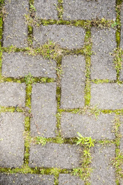 Putsade sätt med gräs — Stockfoto