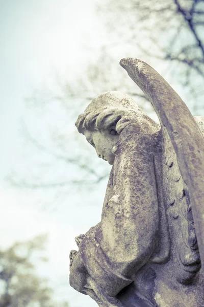 Dettaglio di una scultura d'angelo — Foto Stock