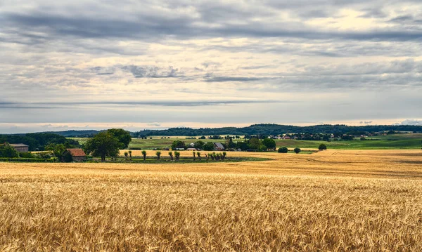 Typische Landschap Met Velden Huizen Saksisch Zwitserland Mecklenburg West Pomerania — Stockfoto