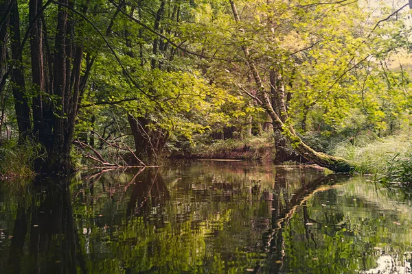 Idyllic Landscape Seen River — Stok fotoğraf