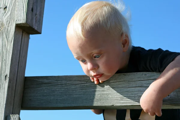 木製のフェンスの上からぶら下がっている赤ちゃん — ストック写真