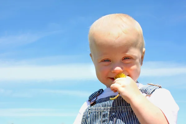 Baby mit Löwenzahn — Stockfoto